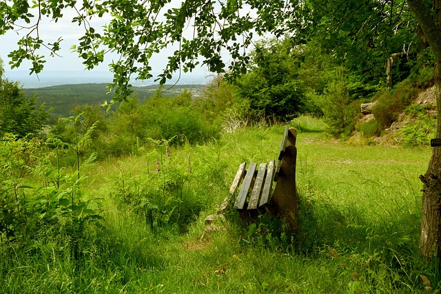 丽和复杂 丽和复杂