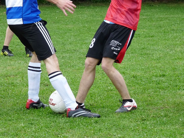 素来以注重 素来以注重