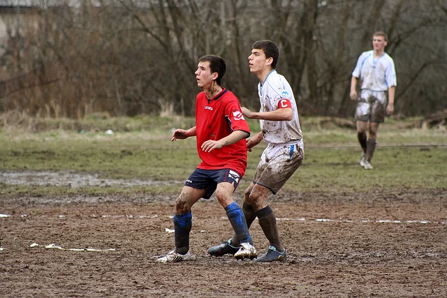 偏向對手 偏向對手