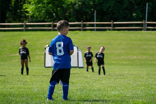 賽形勢的掌 賽形勢的掌