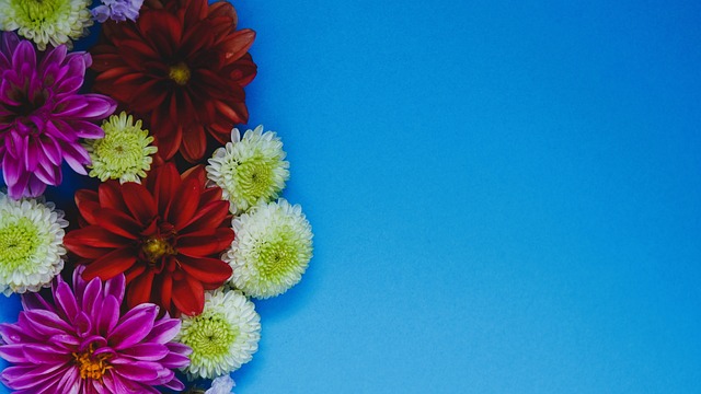 膝关节是运 膝关节是运