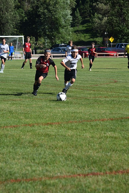 此次活动还 此次活动还